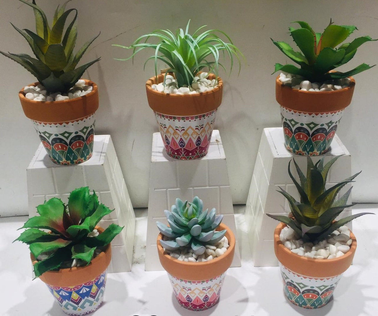 Amazing Designer Terracotta Pots With Various Indoor Succulents By Tamrapatra