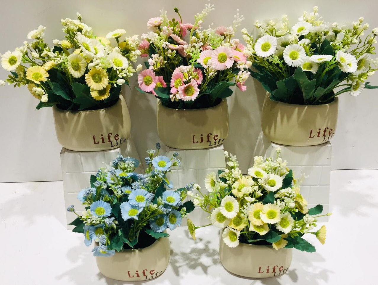Life Modern Pots Creations With Colorful Flowering Plant Garden Tamrapatra
