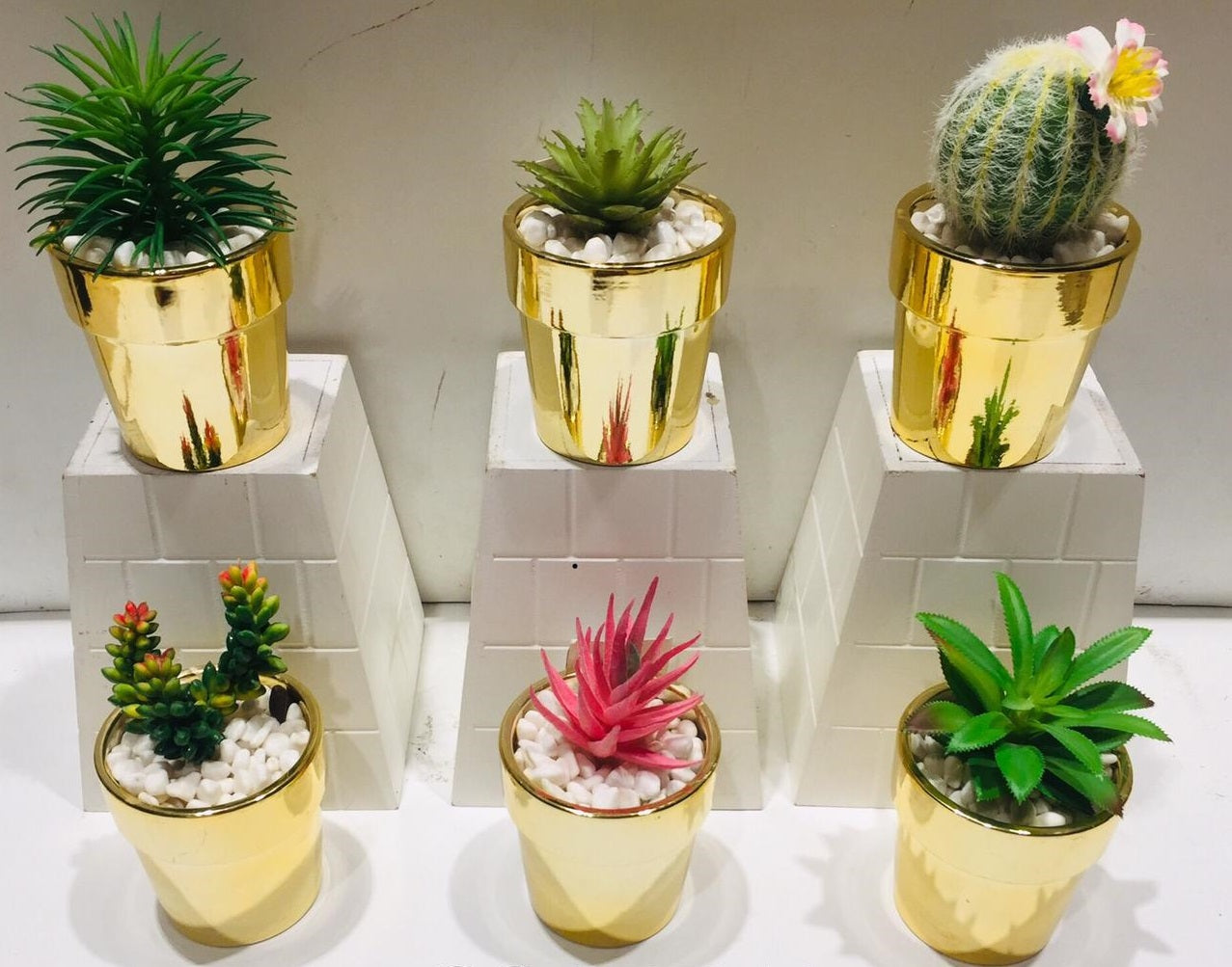 Golden Classic Finished Pots With Dazzling Succulents Decoration Tamrapatra