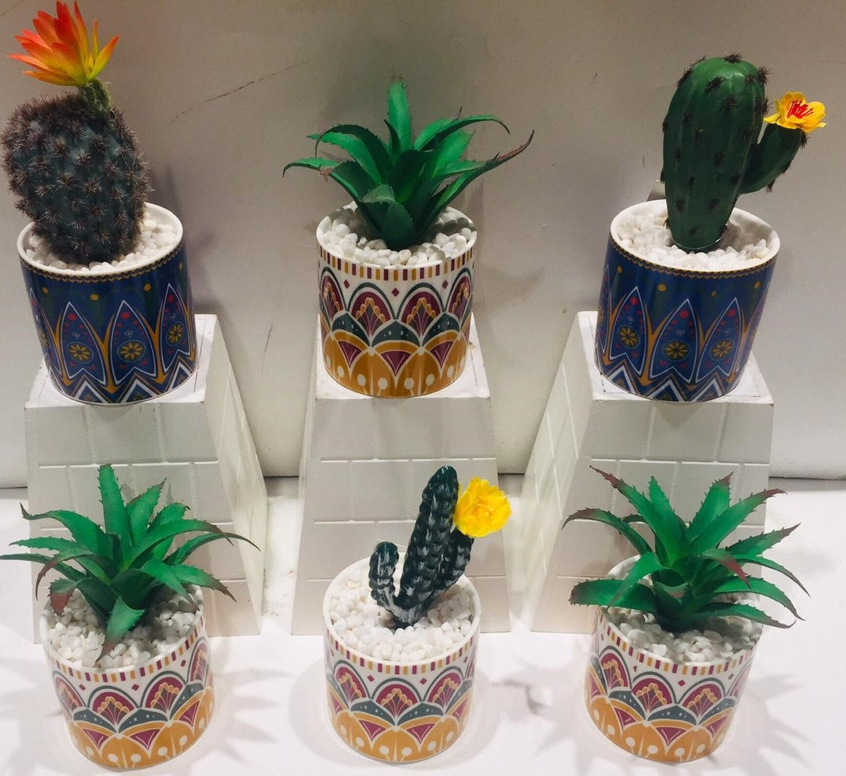 Exclusive Decorative Pots With Succulents Must Buy Limited Stock Tamrapatra