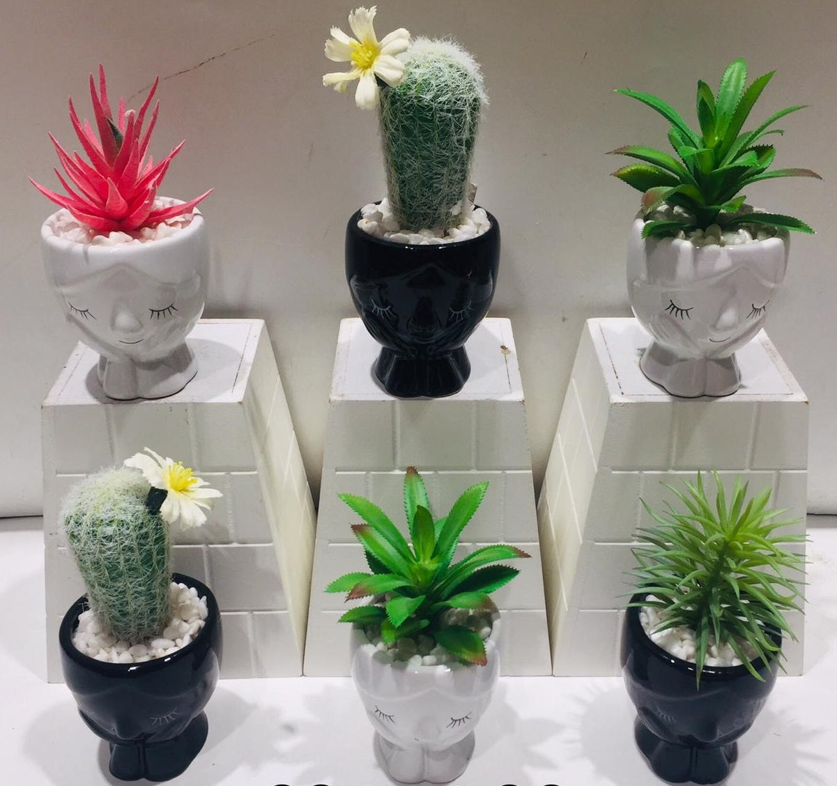 Adorable Pots With Stones & Succulents Home Décor Garden By Tamrapatra