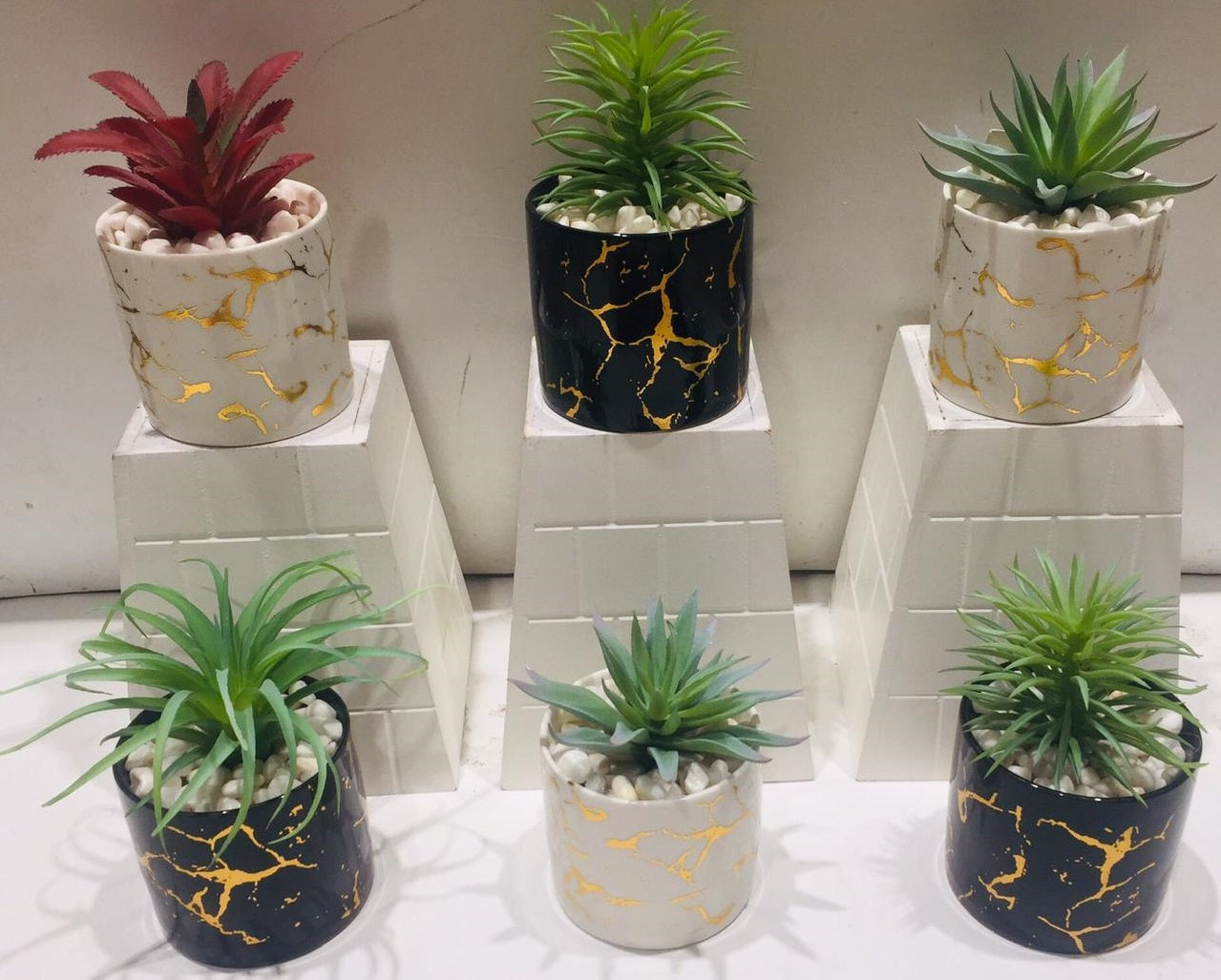 Crackled Golden Finished Pots With Attractive Succulents Plants By Tamrapatra