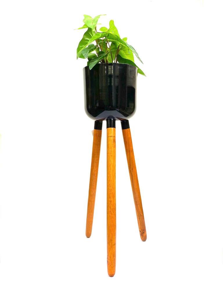 Beautiful Metal Planter On Large Wooden Tripod Stand Black Shade Tamrapatra