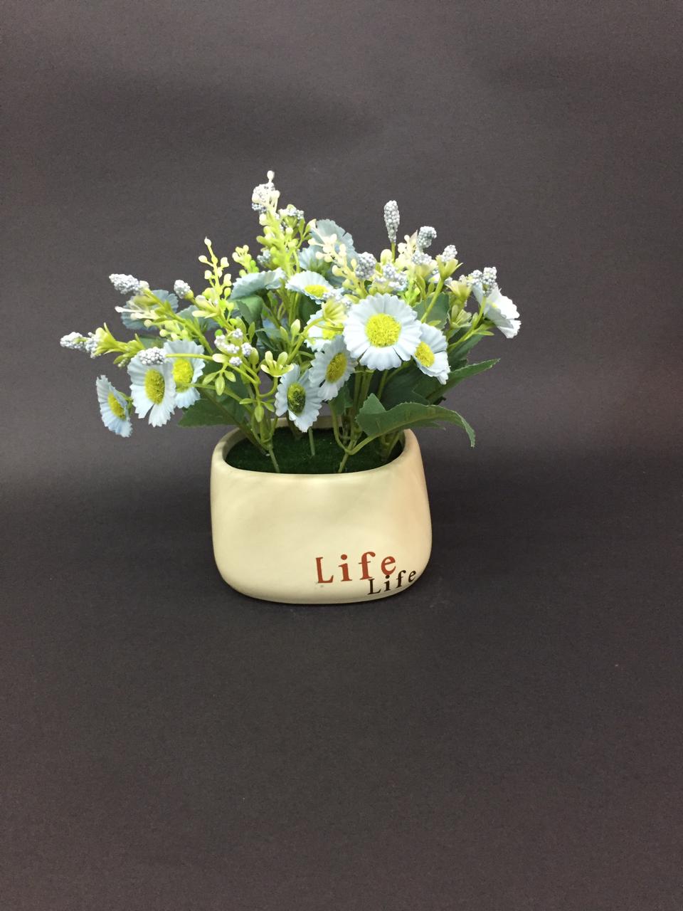 Life Modern Pots Creations With Colorful Flowering Plant Garden Tamrapatra