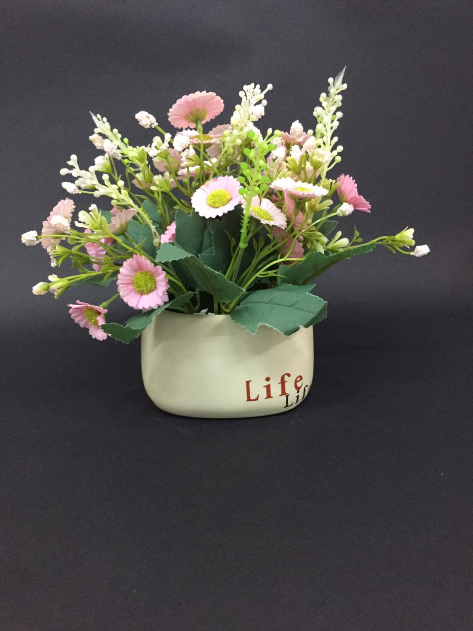 Life Modern Pots Creations With Colorful Flowering Plant Garden Tamrapatra