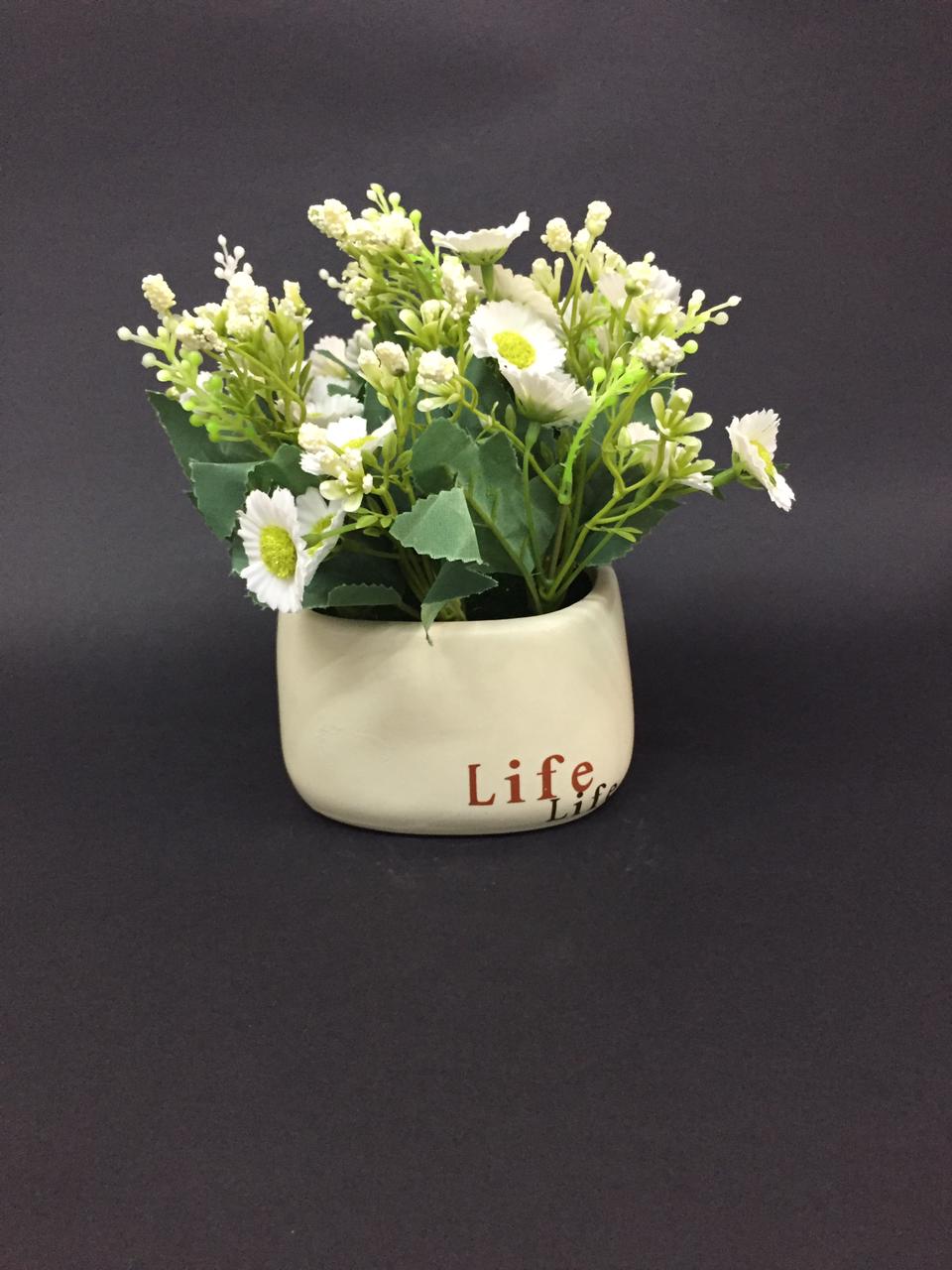 Life Modern Pots Creations With Colorful Flowering Plant Garden Tamrapatra