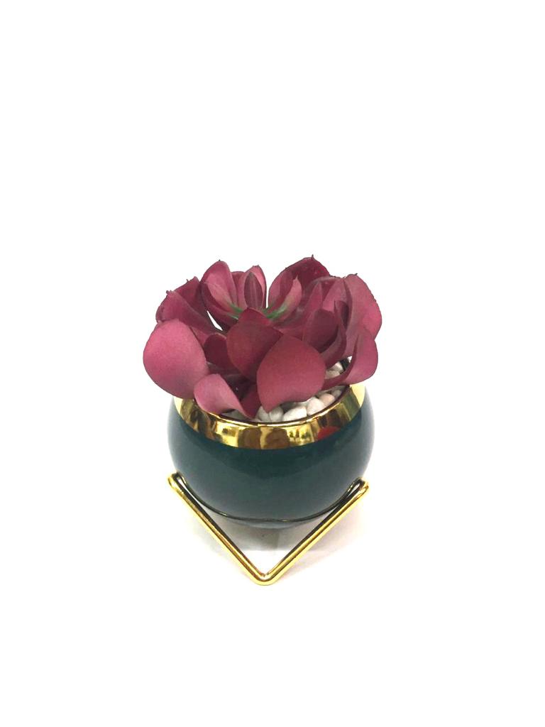 Extravagant Classy Black Golden Stand With Stones & Succulents By Tamrapatra