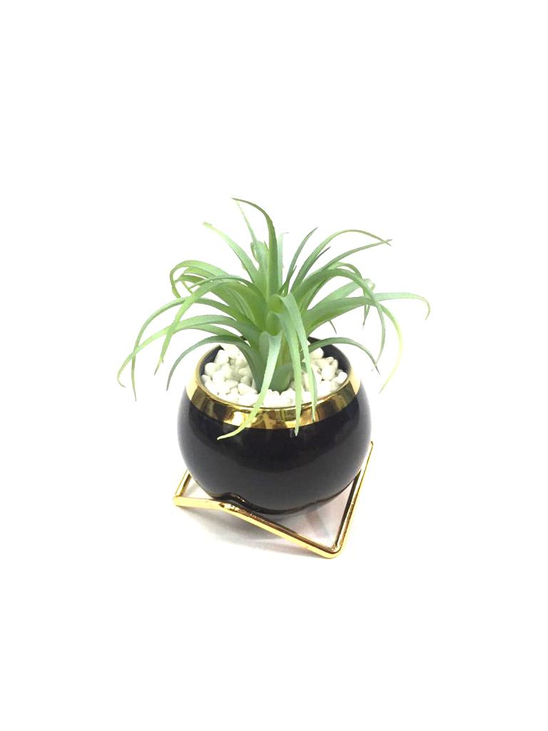 Extravagant Classy Black Golden Stand With Stones & Succulents By Tamrapatra