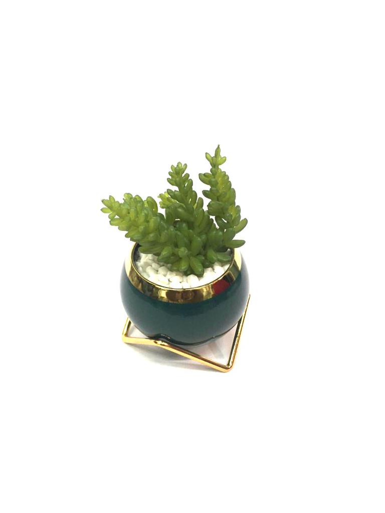 Extravagant Classy Black Golden Stand With Stones & Succulents By Tamrapatra