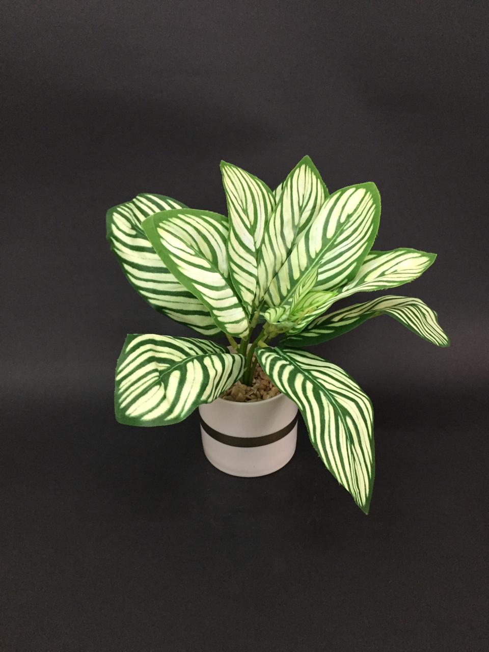 Modern White Pots With Golden Ring With Designer Leafy Plant Tamrapatra