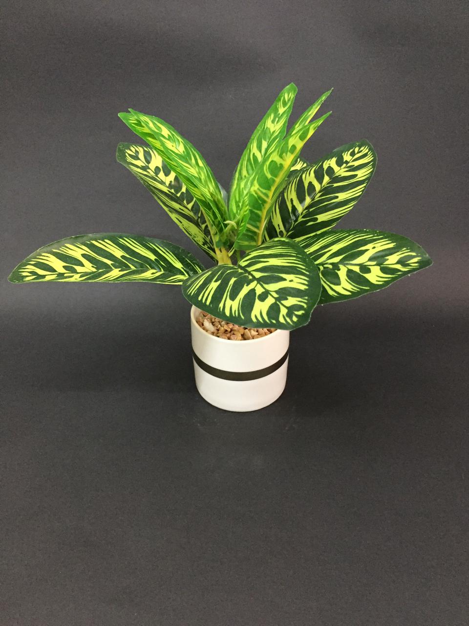 Modern White Pots With Golden Ring With Designer Leafy Plant Tamrapatra