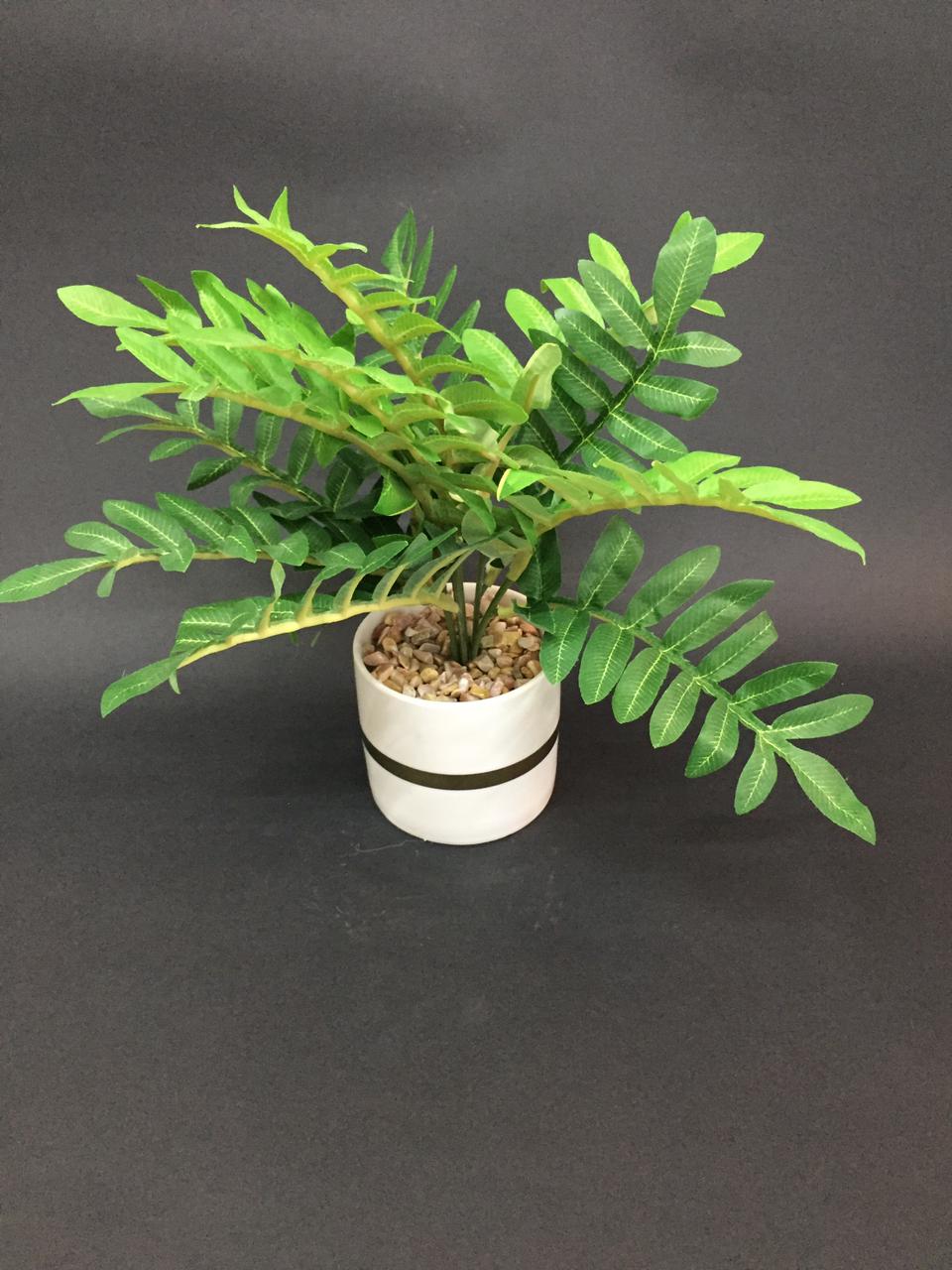 Modern White Pots With Golden Ring With Designer Leafy Plant Tamrapatra