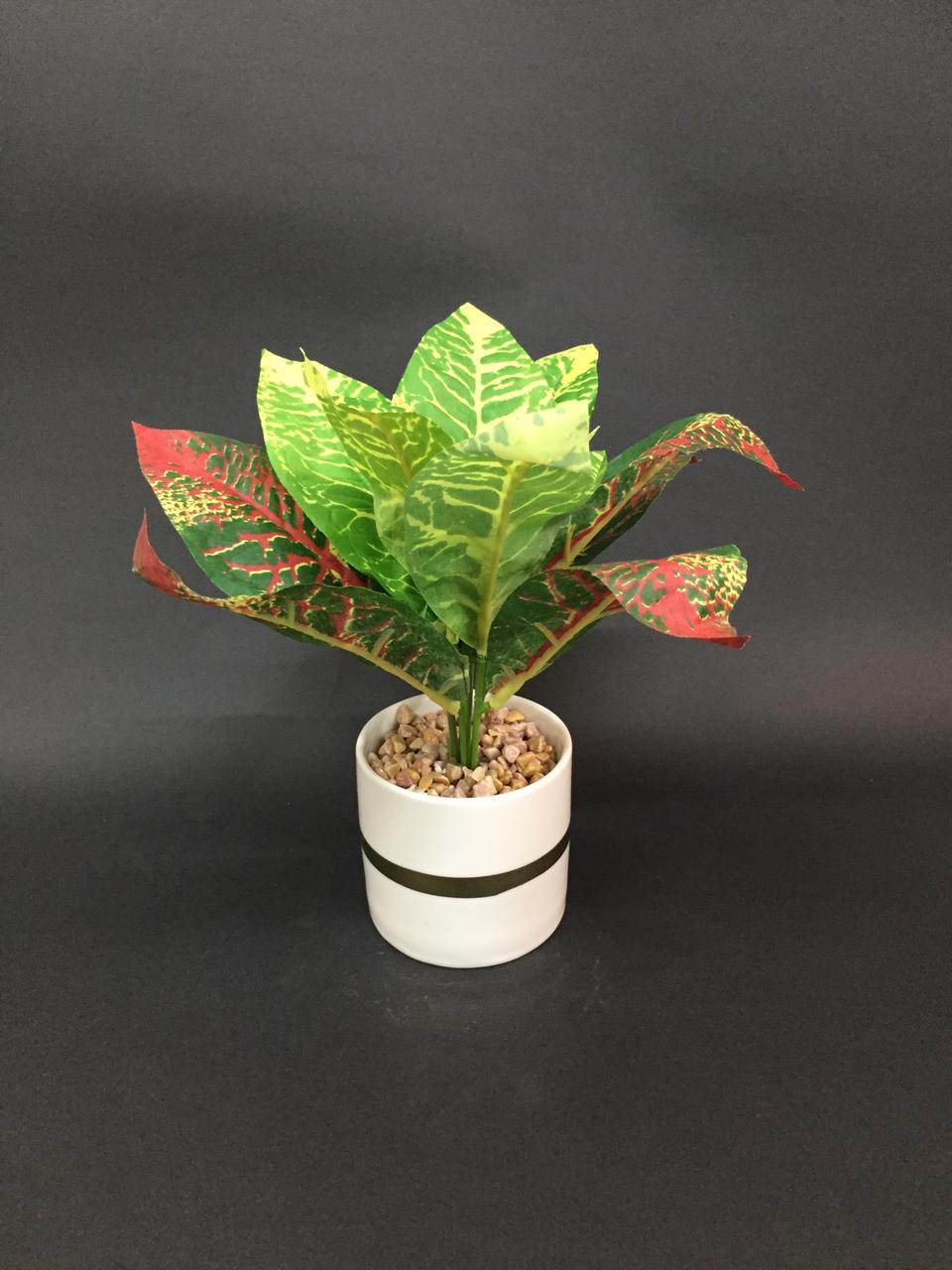 Modern White Pots With Golden Ring With Designer Leafy Plant Tamrapatra