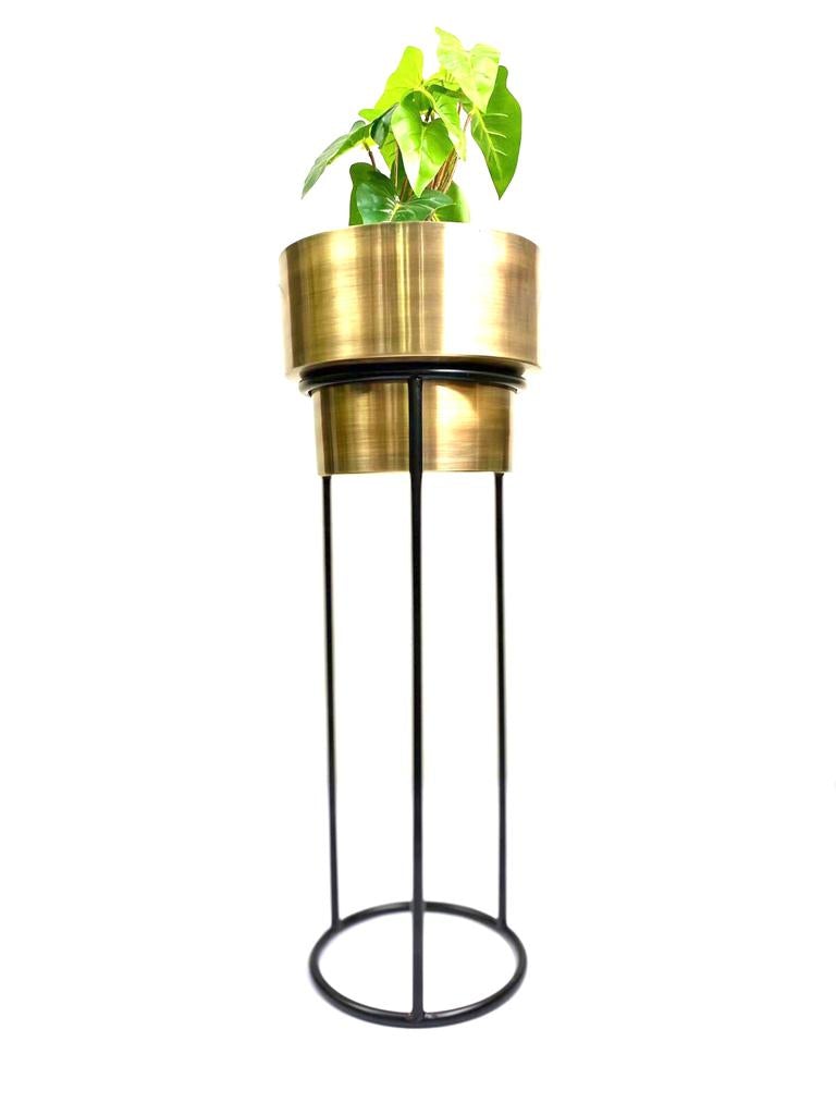 Modish Gold Planters On Stand Exclusive Designs Handcrafted By Tamrapatra