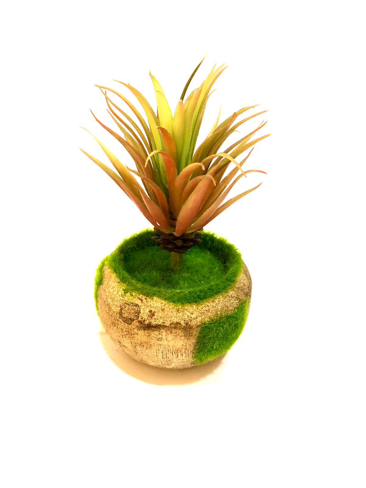 Artificial Succulents Moss Indoor Plant In Round Grass Cork Pots By Tamrapatra