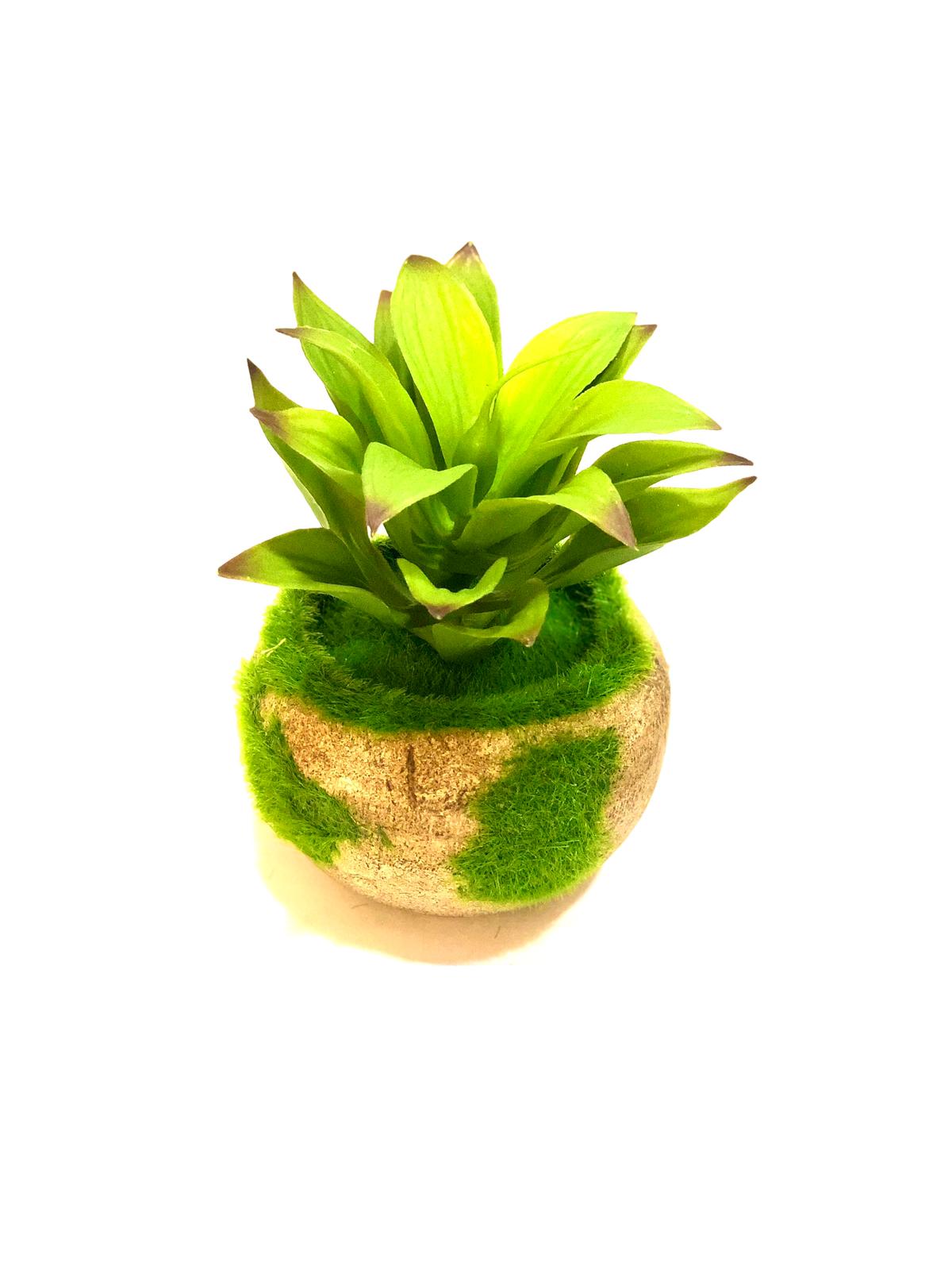Artificial Succulents Moss Indoor Plant In Round Grass Cork Pots By Tamrapatra