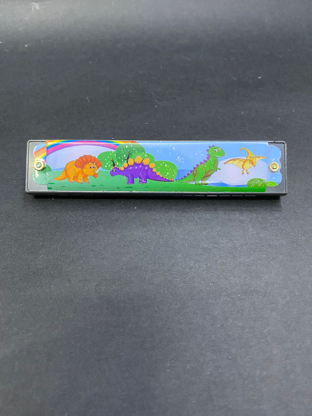 Mouth Organ Musical Instrument For Kids & Adults In Various Design Tamrapatra