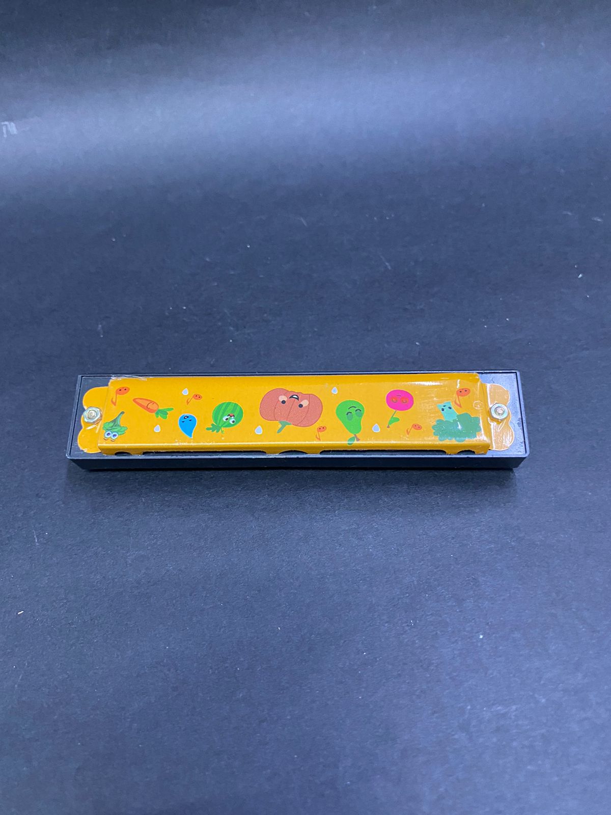 Mouth Organ Musical Instrument For Kids & Adults In Various Design Tamrapatra