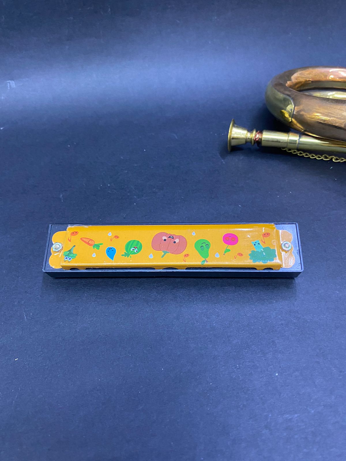 Mouth Organ Musical Instrument For Kids & Adults In Various Design Tamrapatra