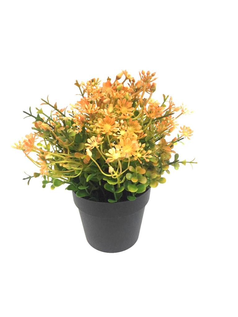 Set Up Floral Arrangements In Your Living Space In Black Pots By Tamrapatra