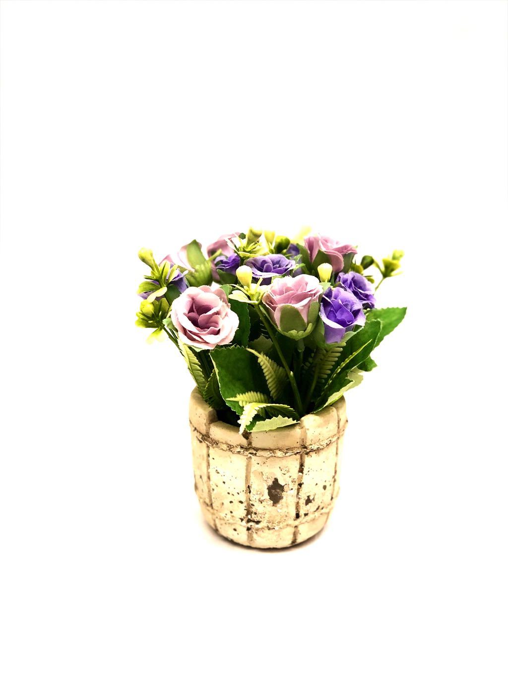 Barrel Style Small Lovely Rose Plant In Different Shades Gifts Tamrapatra