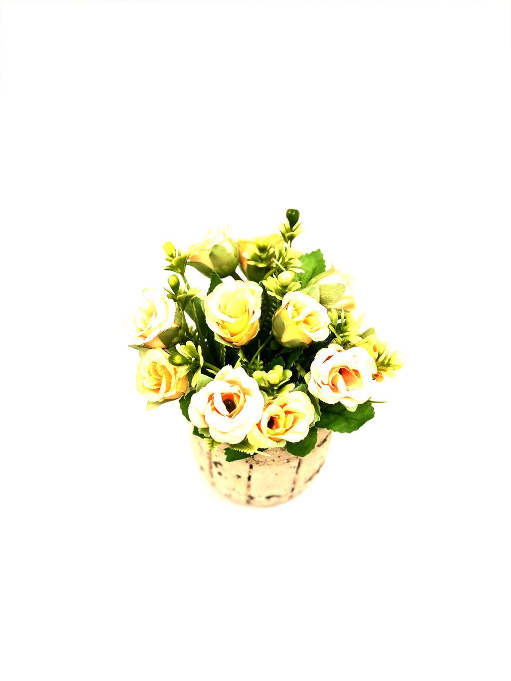 Barrel Style Small Lovely Rose Plant In Different Shades Gifts Tamrapatra