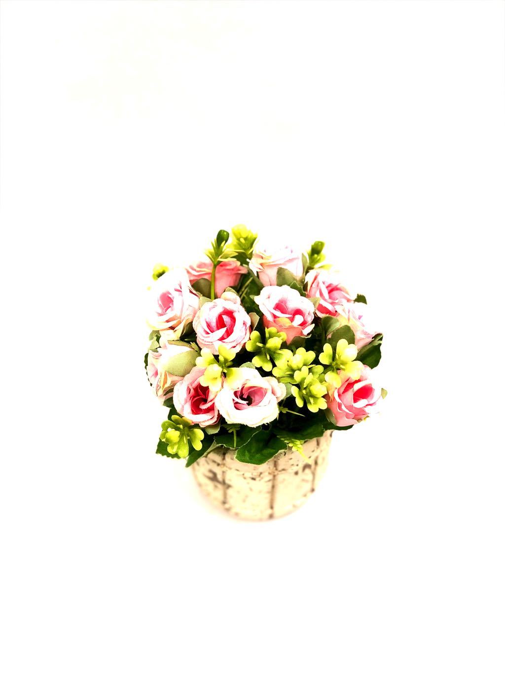Barrel Style Small Lovely Rose Plant In Different Shades Gifts Tamrapatra
