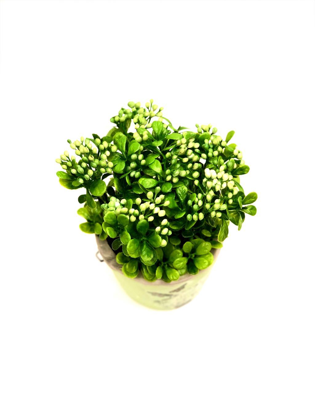 Bucket Style Artificial Tropical Plant Style In Various Shades Tamrapatra