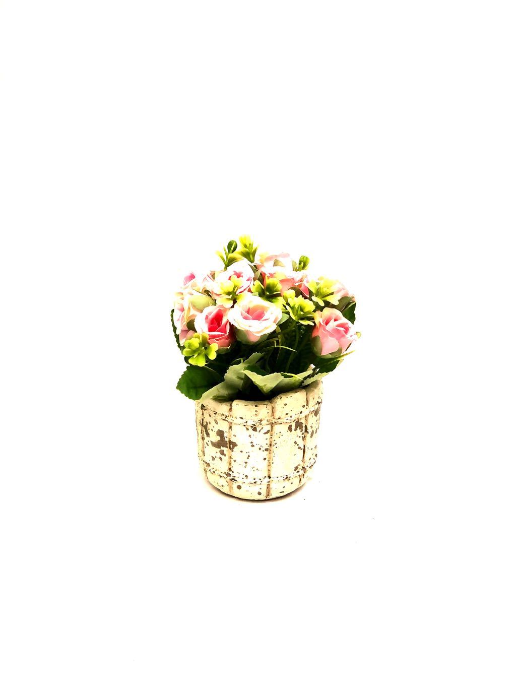 Barrel Style Small Lovely Rose Plant In Different Shades Gifts Tamrapatra