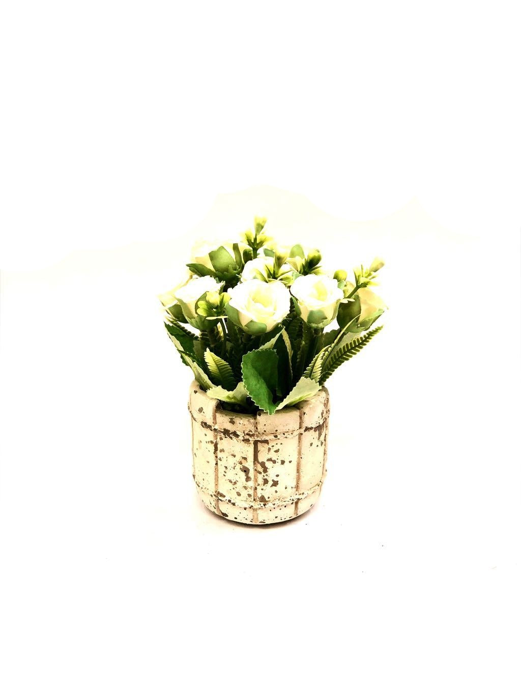 Barrel Style Small Lovely Rose Plant In Different Shades Gifts Tamrapatra