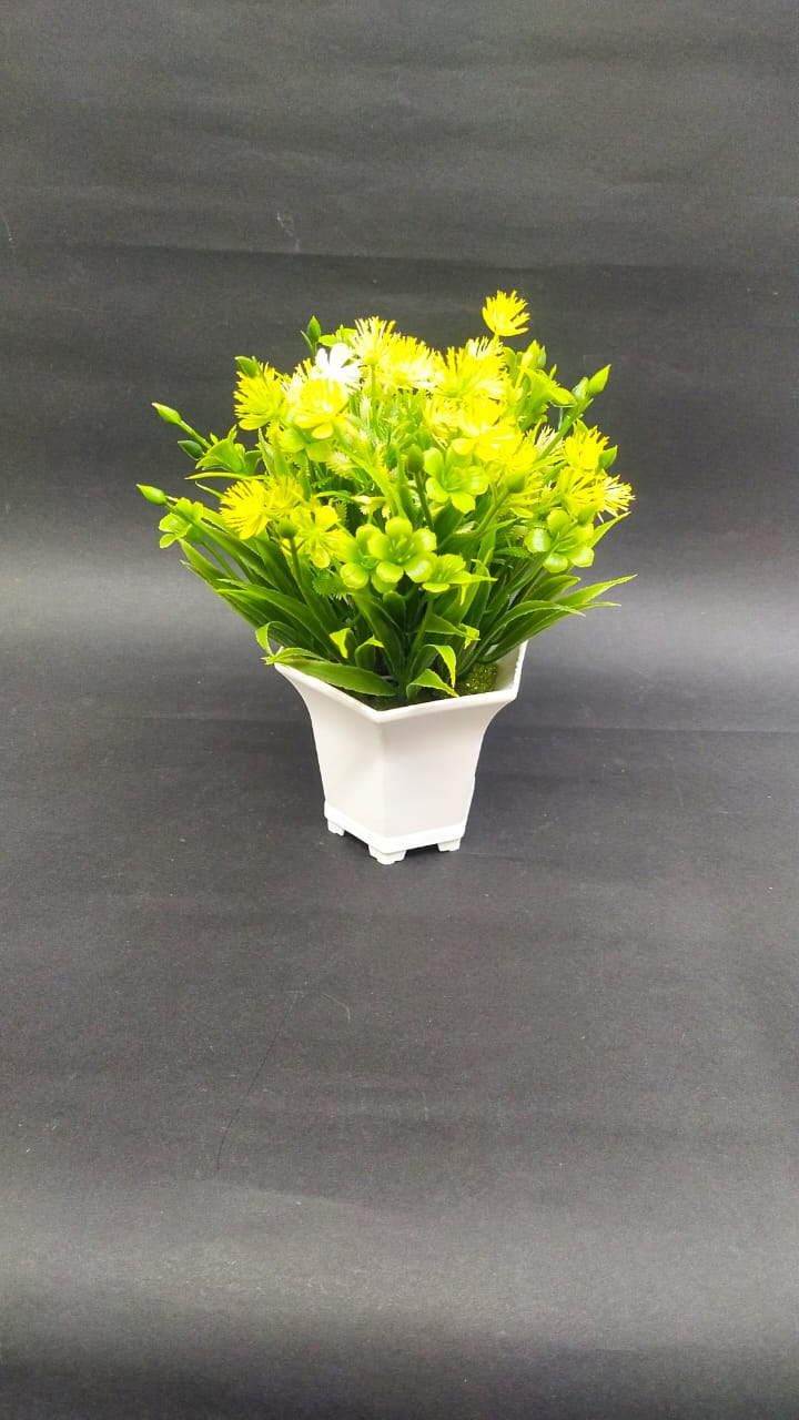 Bucket Styled Flower Pot in Contrasting Shades Plant Collection By Tamrapatra