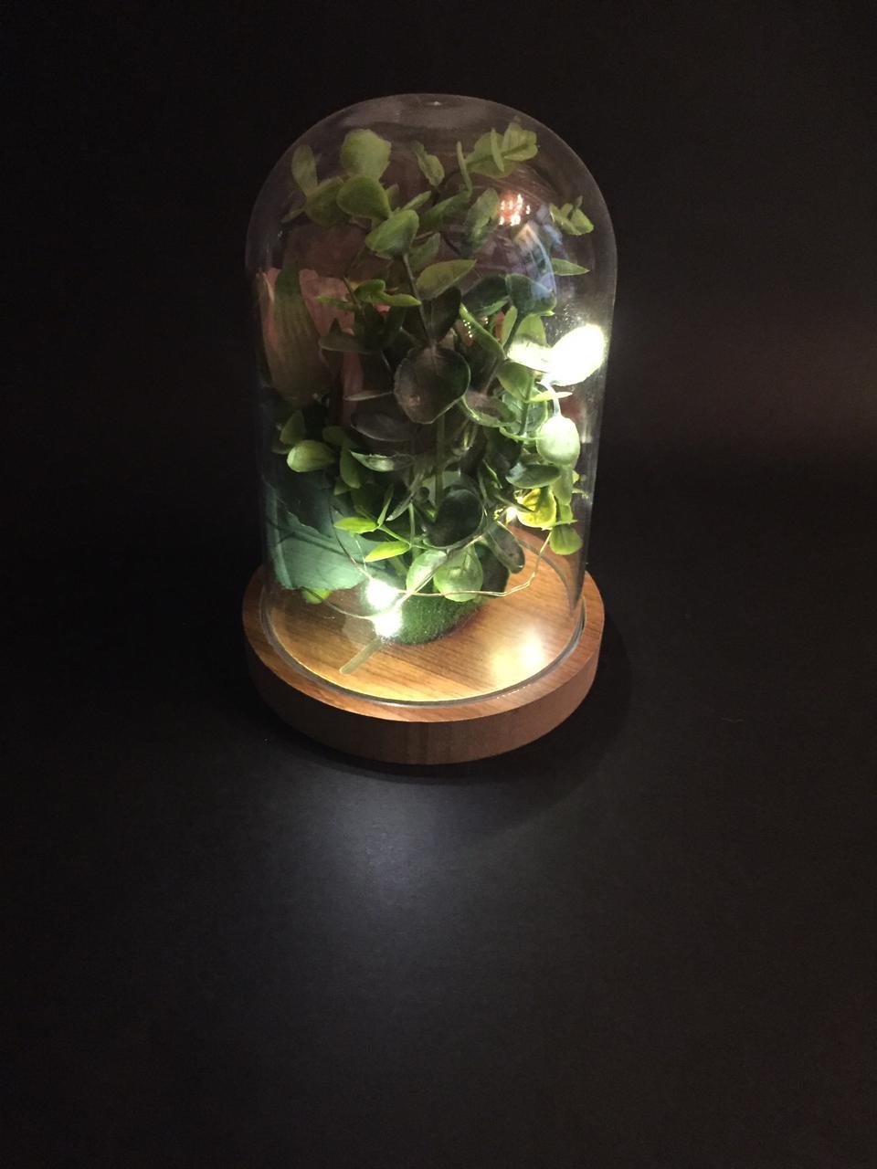 Flowering Plant Preserved In Acrylic Dome Home Garden Accessories Tamrapatra