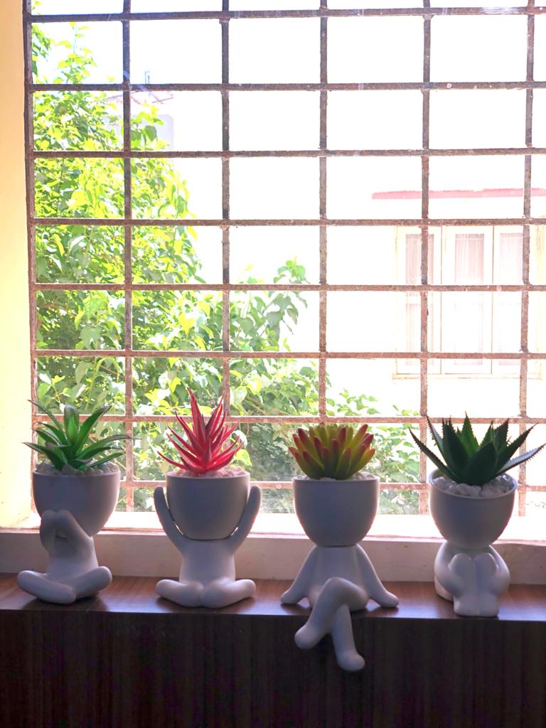 The Figurine Plant With Stones A Visual Charm For Visitors By Tamrapatra