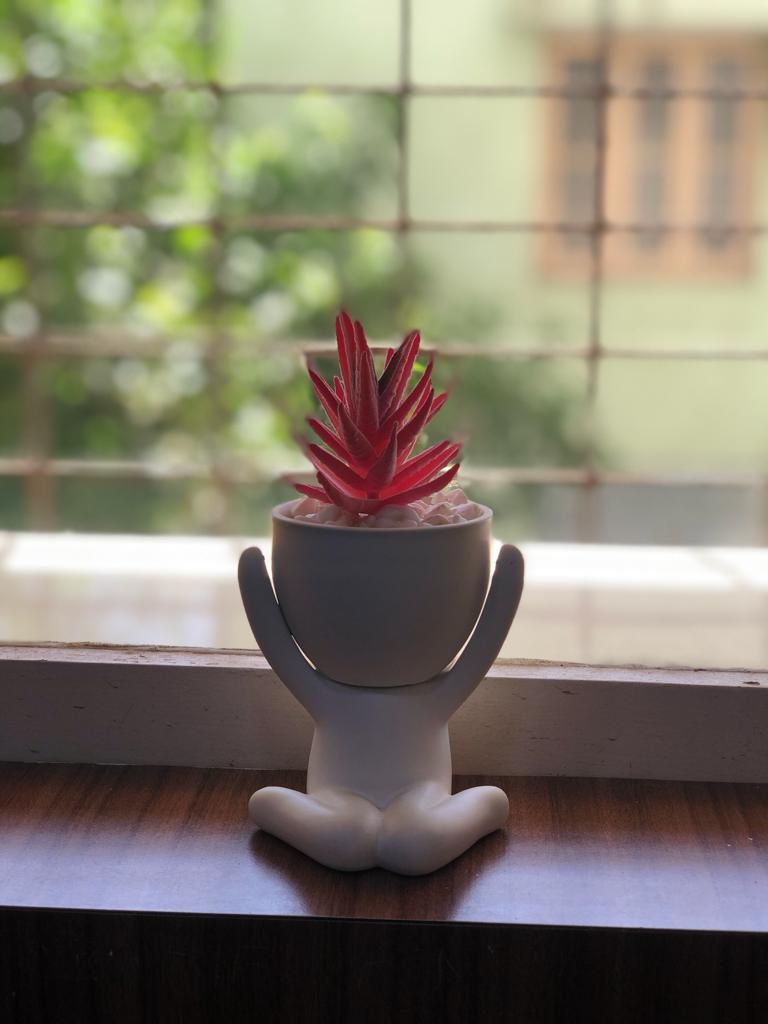 The Figurine Plant With Stones A Visual Charm For Visitors By Tamrapatra