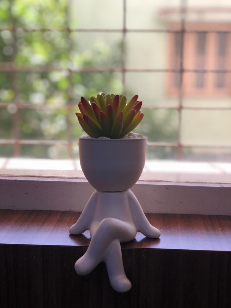 The Figurine Plant With Stones A Visual Charm For Visitors By Tamrapatra