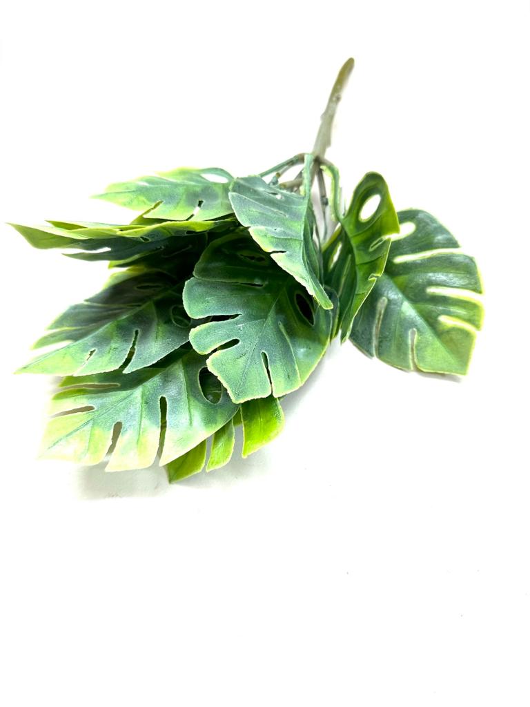 Plants Bunch Exclusive Collection Live For Planters In Carious Designs Tamrapatra