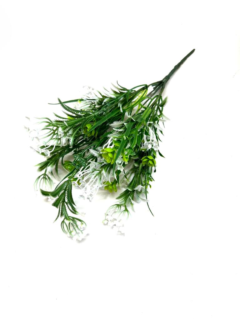 Plants Bunch Exclusive Collection Live For Planters In Carious Designs Tamrapatra