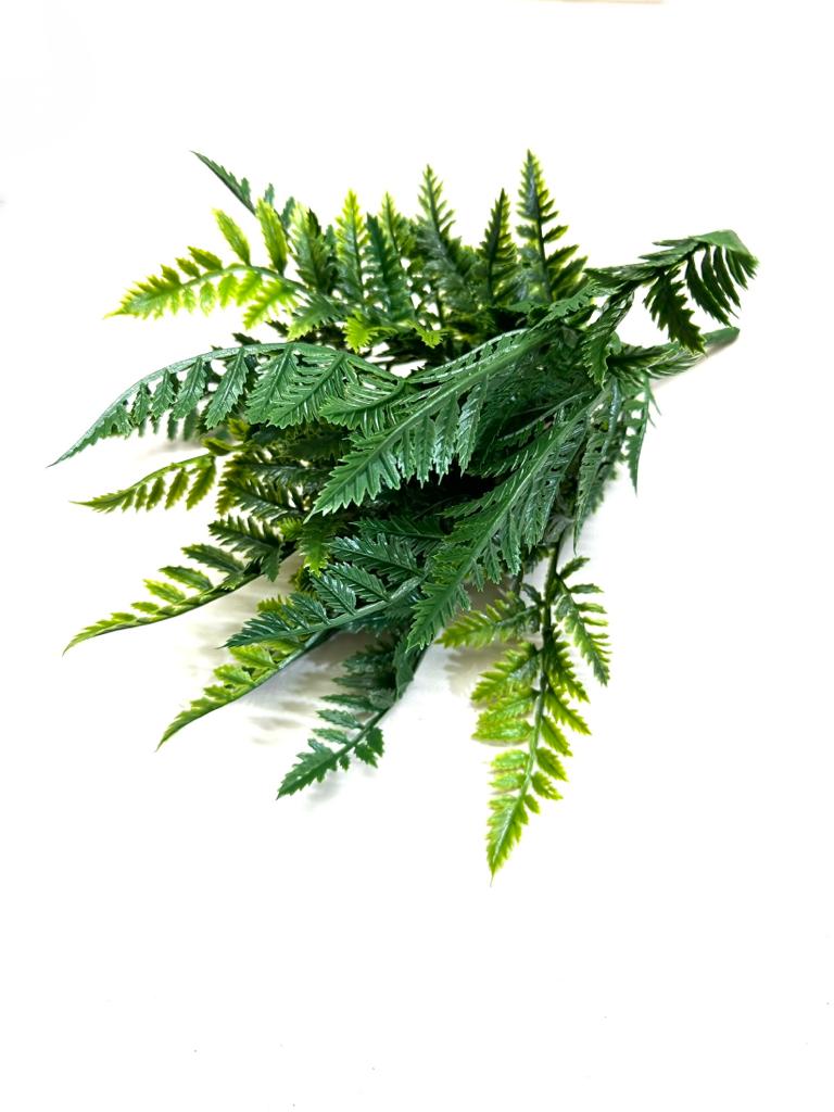 Plants Bunch Exclusive Collection Live For Planters In Carious Designs Tamrapatra