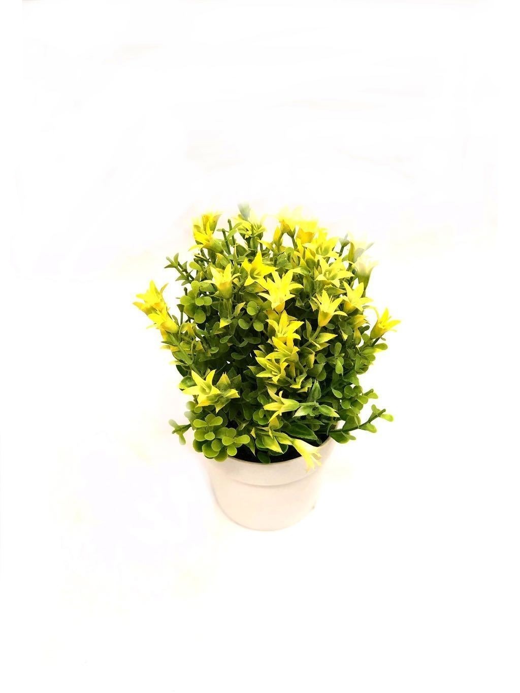 Home Decor Artificial Bell Flower Plants With Extraordinary Shades Tamrapatra