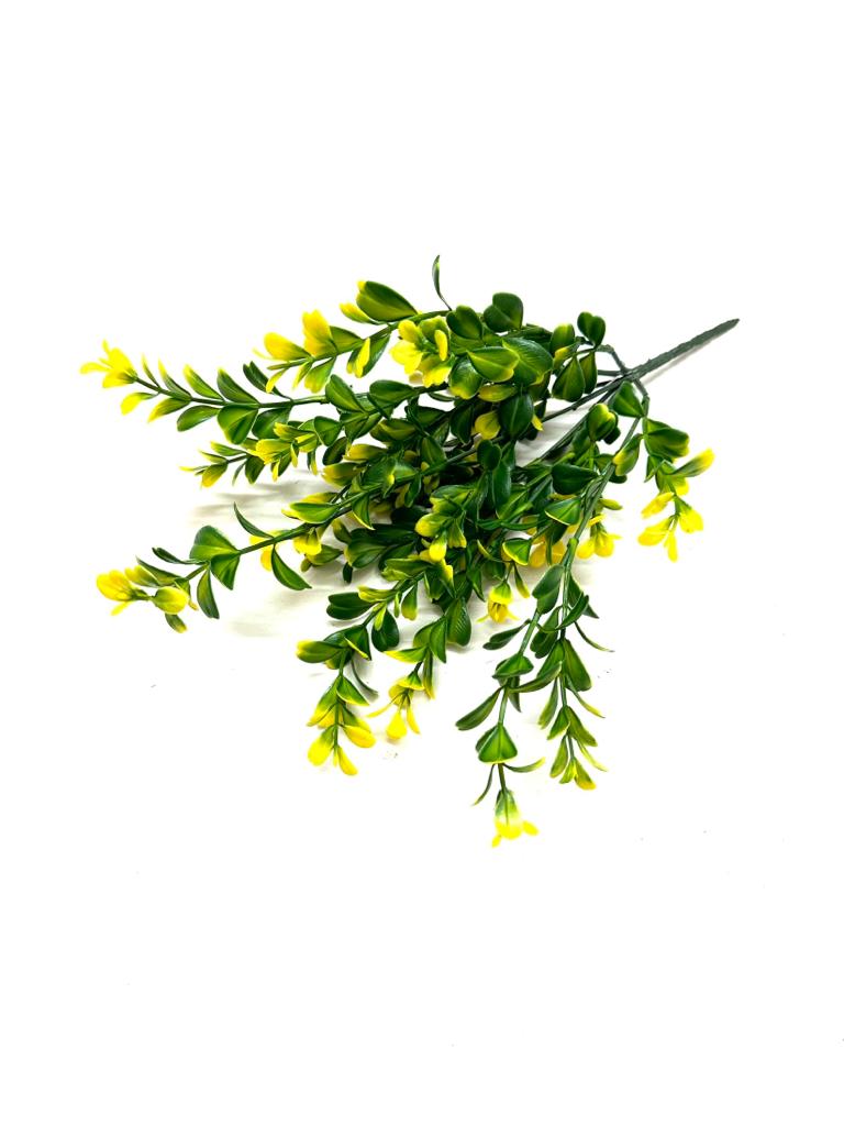 Plants Bunch Exclusive Collection Live For Planters In Carious Designs Tamrapatra