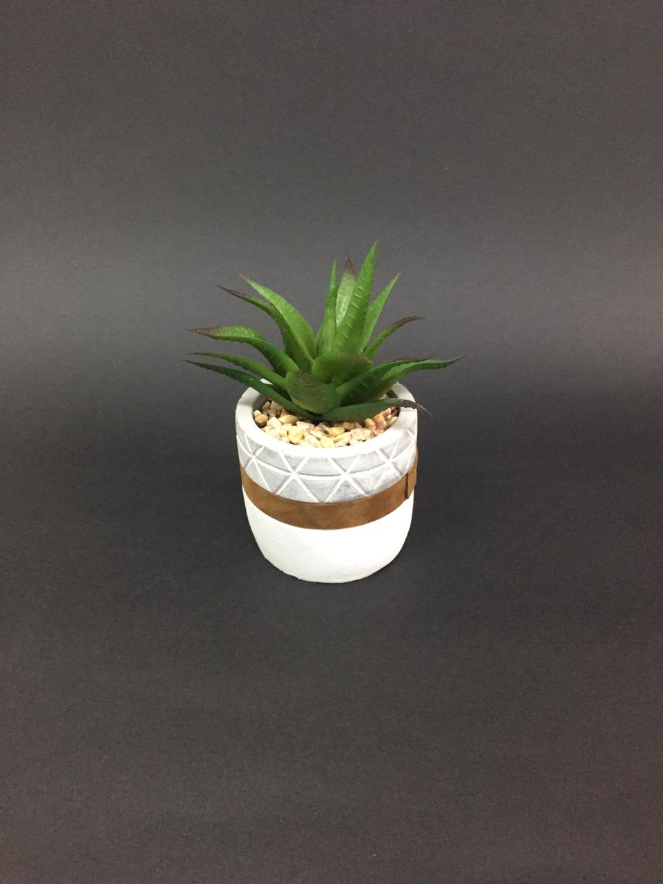 Cement Stylish Pots With Bright Succulents In Sand Arranged Plants Tamrapatra