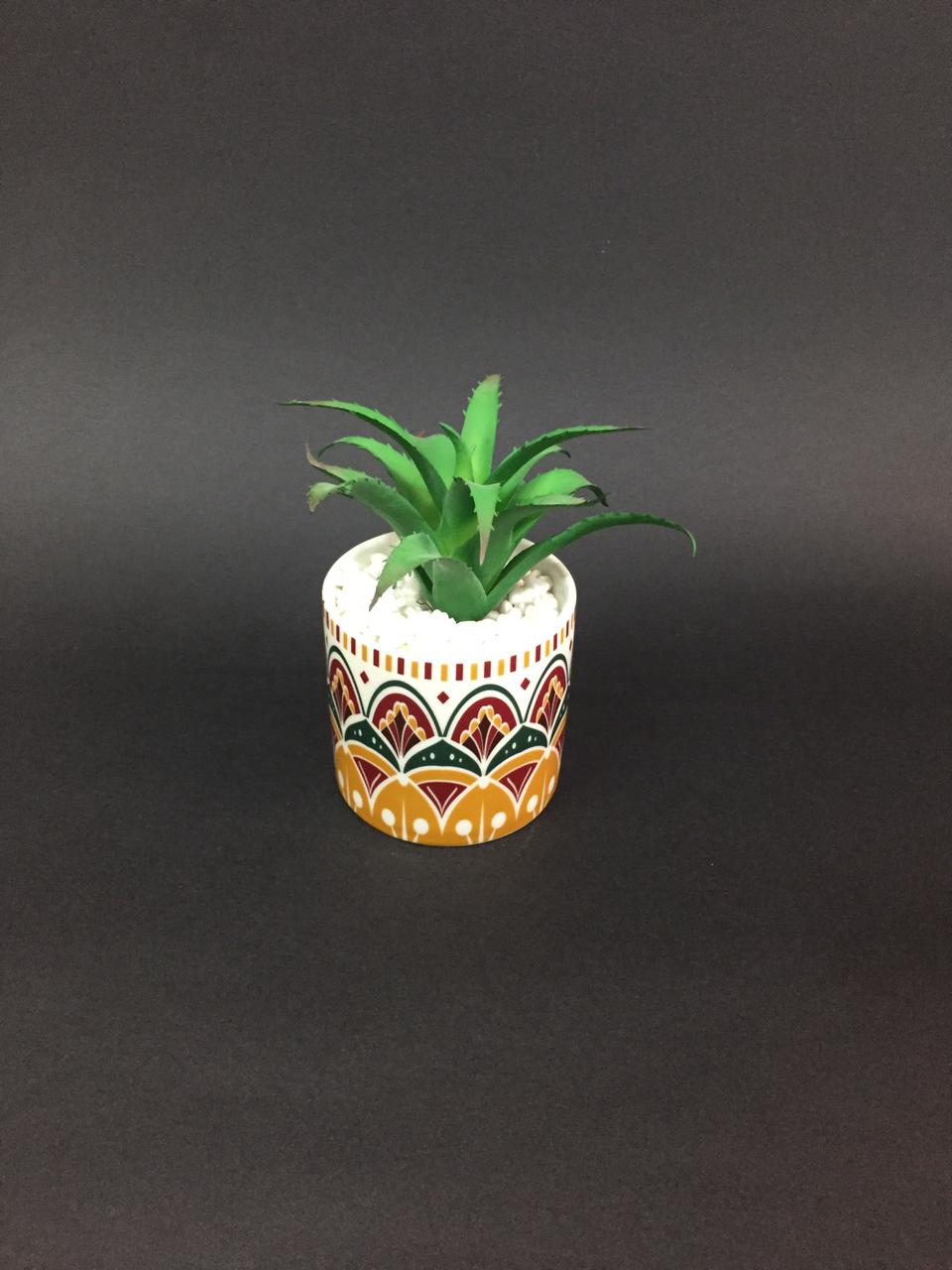 Exclusive Decorative Pots With Succulents Must Buy Limited Stock Tamrapatra
