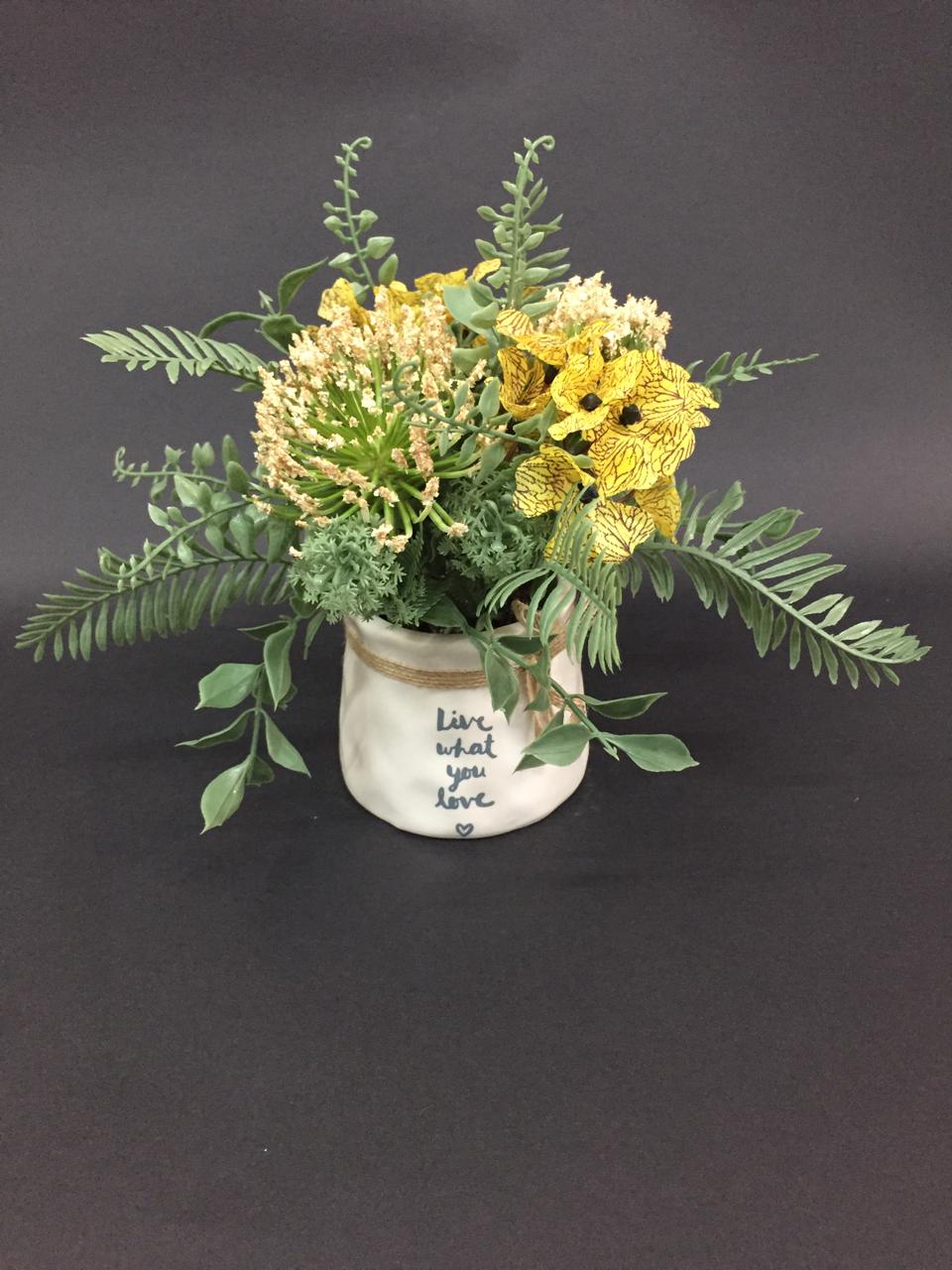 Chrysanthemum Flower Plants In Stunning Ceramic Knotted Pots Tamrapatra