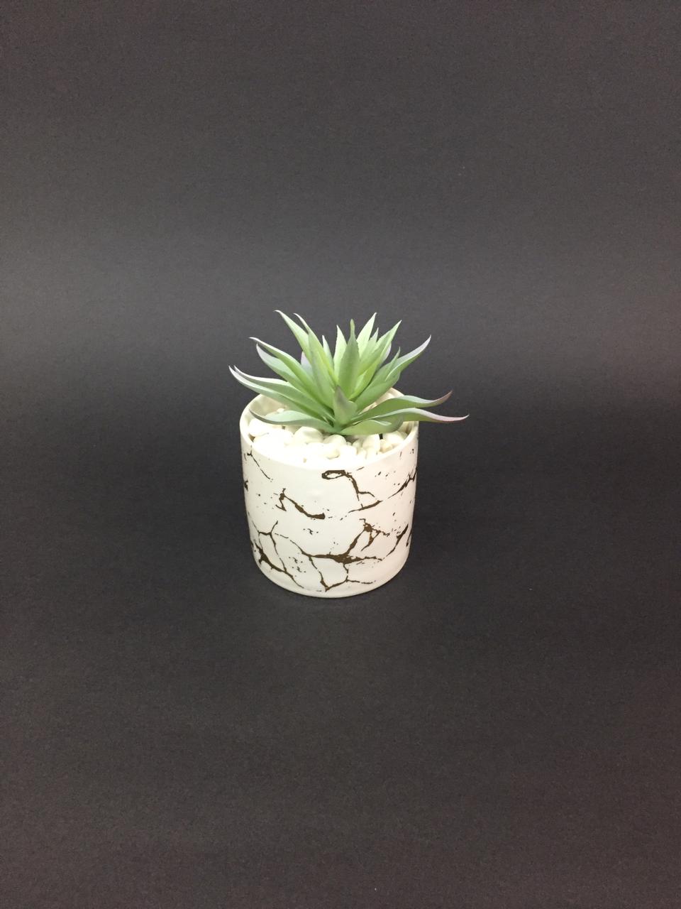 Crackled Golden Finished Pots With Attractive Succulents Plants By Tamrapatra