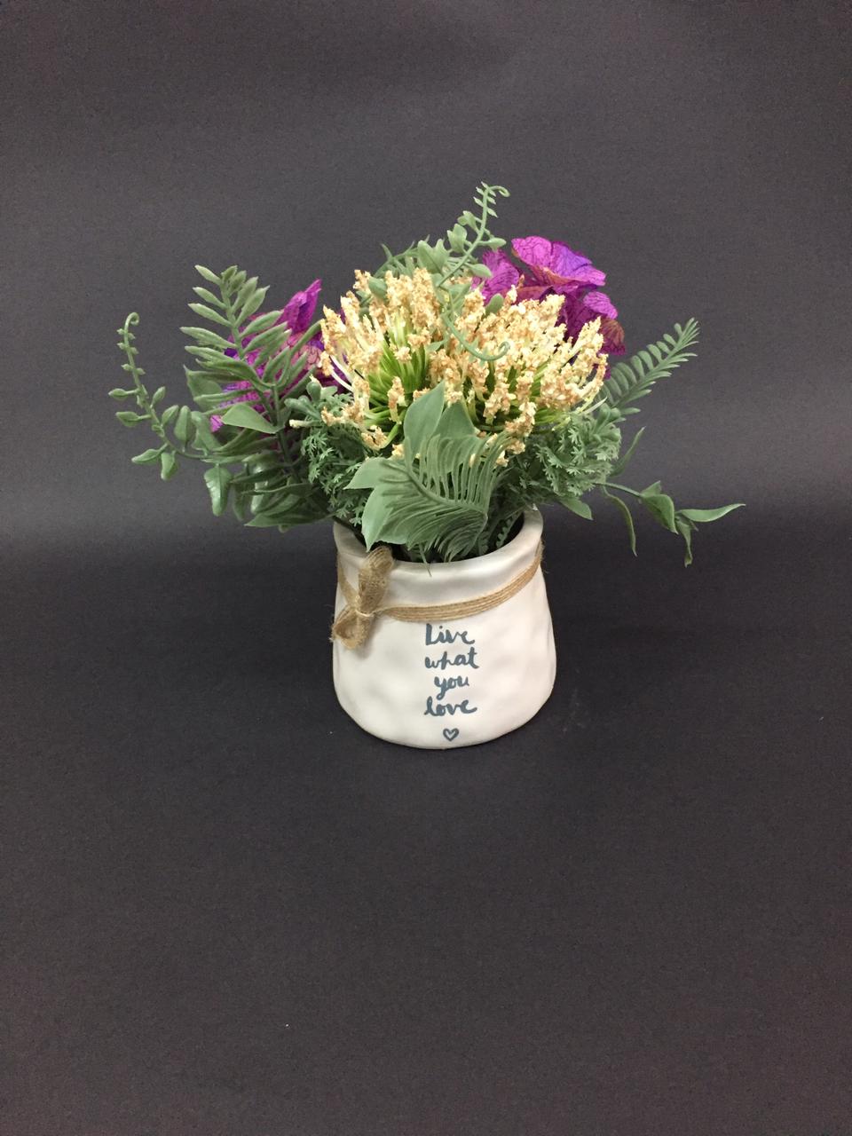 Chrysanthemum Flower Plants In Stunning Ceramic Knotted Pots Tamrapatra