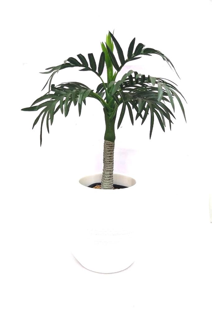 Planters Pot For Natural & Artificial Plants Decoration Unique Shape Tamrapatra