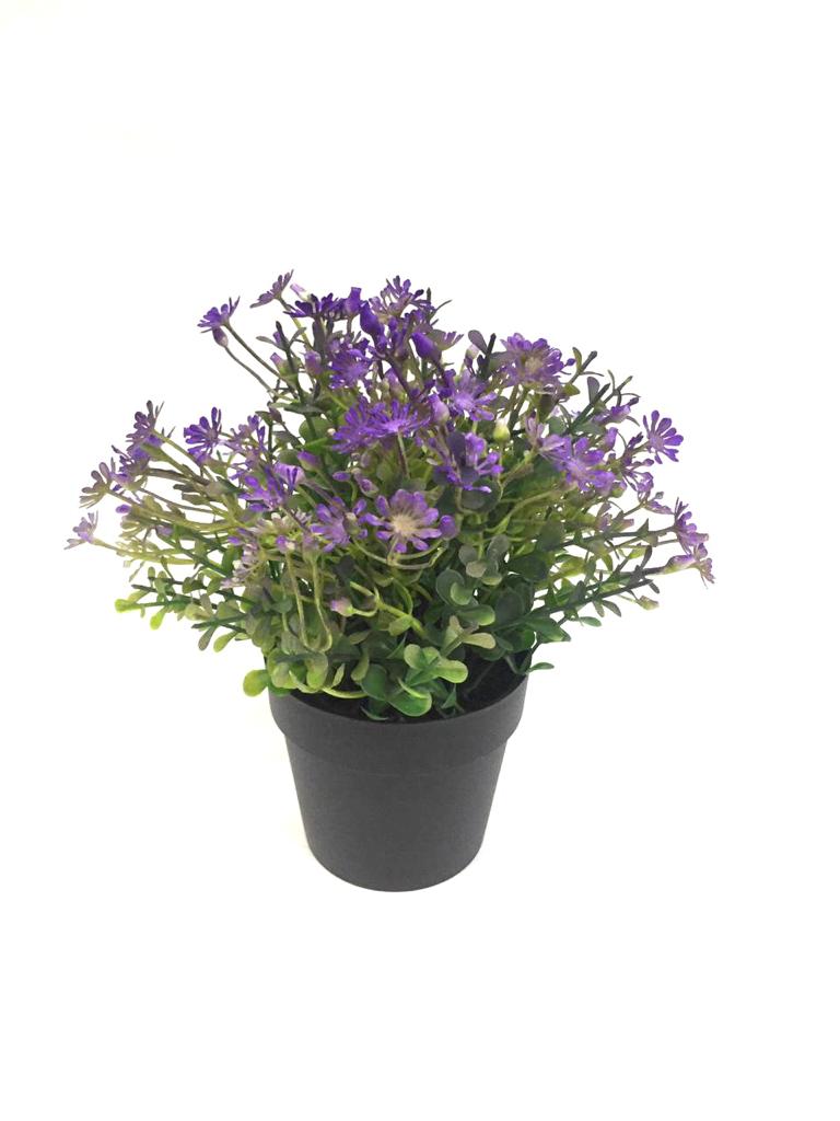 Set Up Floral Arrangements In Your Living Space In Black Pots By Tamrapatra