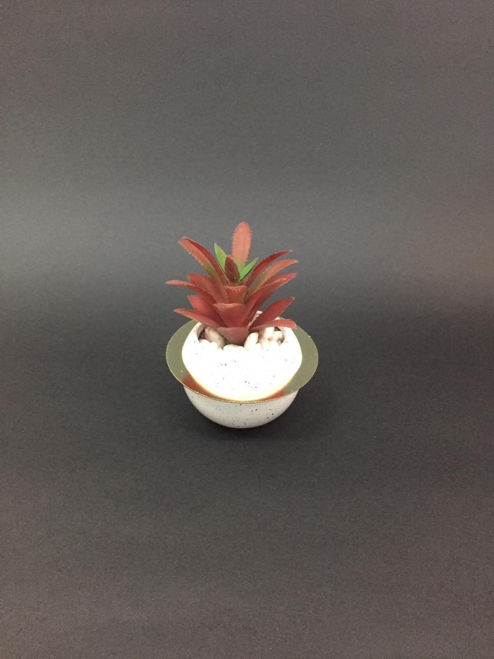 Beautiful White Golden Ring Style Pots With Colorful Succulents By Tamrapatra