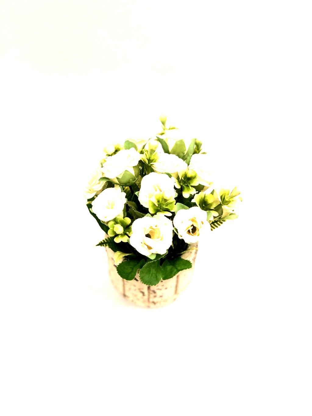 Barrel Style Small Lovely Rose Plant In Different Shades Gifts Tamrapatra