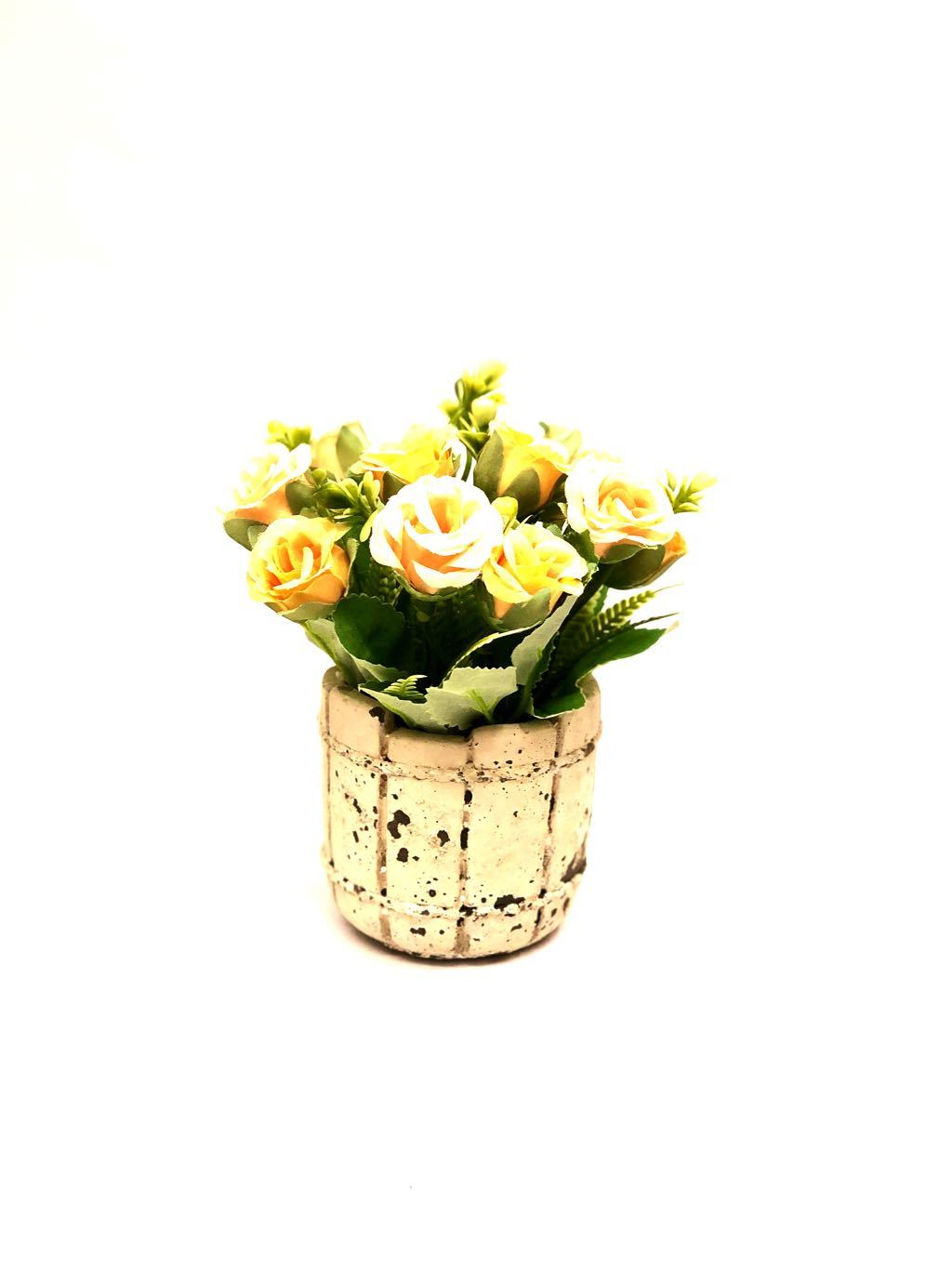 Barrel Style Small Lovely Rose Plant In Different Shades Gifts Tamrapatra